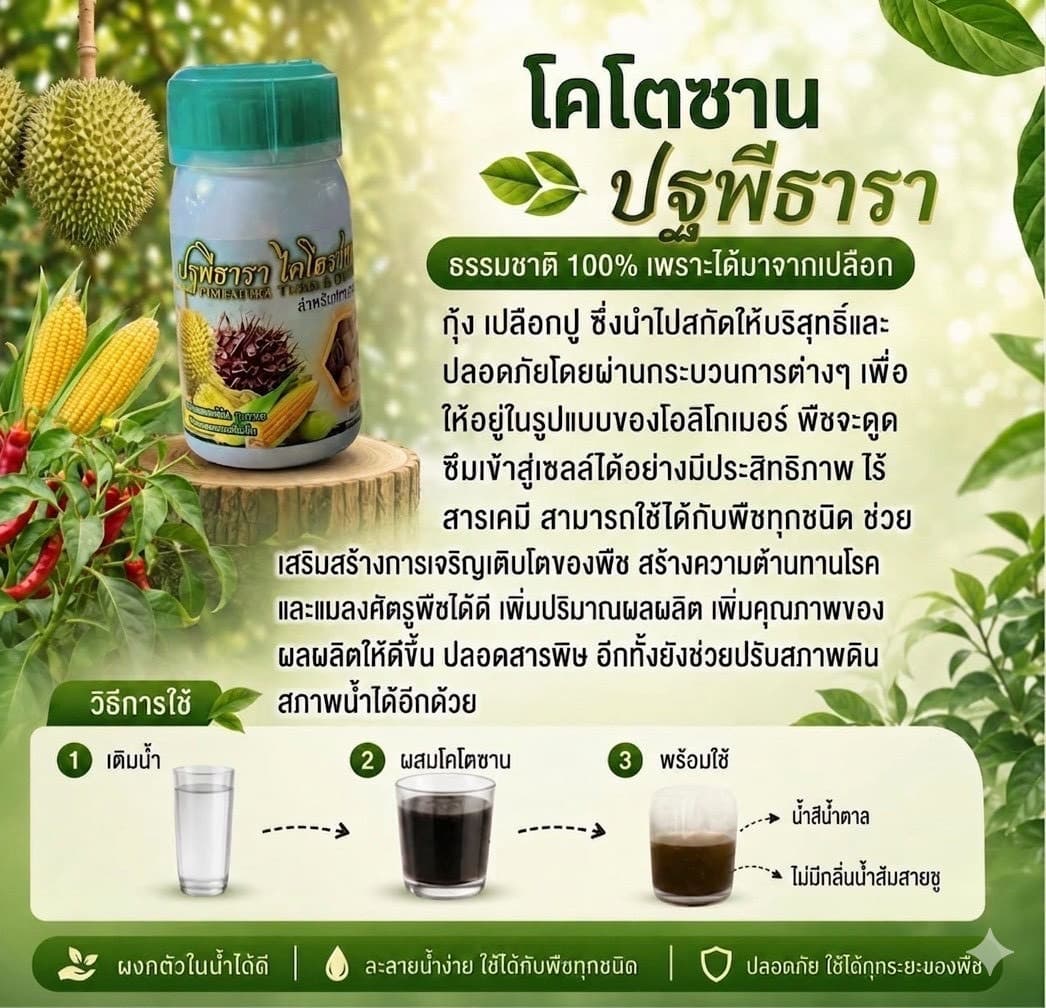 ไคโตซานคืออะไร ช่วยพืชอย่างไร
